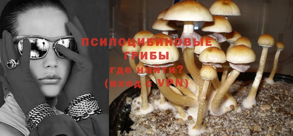 PSILOCYBIN Балабаново