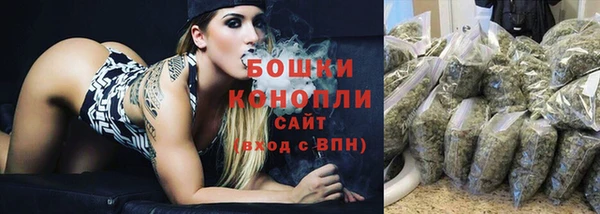 PSILOCYBIN Балабаново