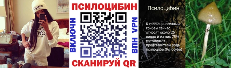 Псилоцибиновые грибы Psilocybe  mega маркетплейс  Кушва 