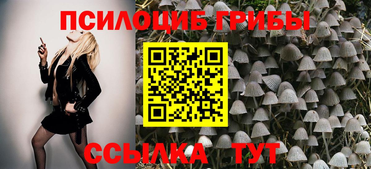 Кушва  Галлюциногенные грибы MAGIC MUSHROOMS  Вход с VPN  Псилоцибиновые грибы ЛСД 